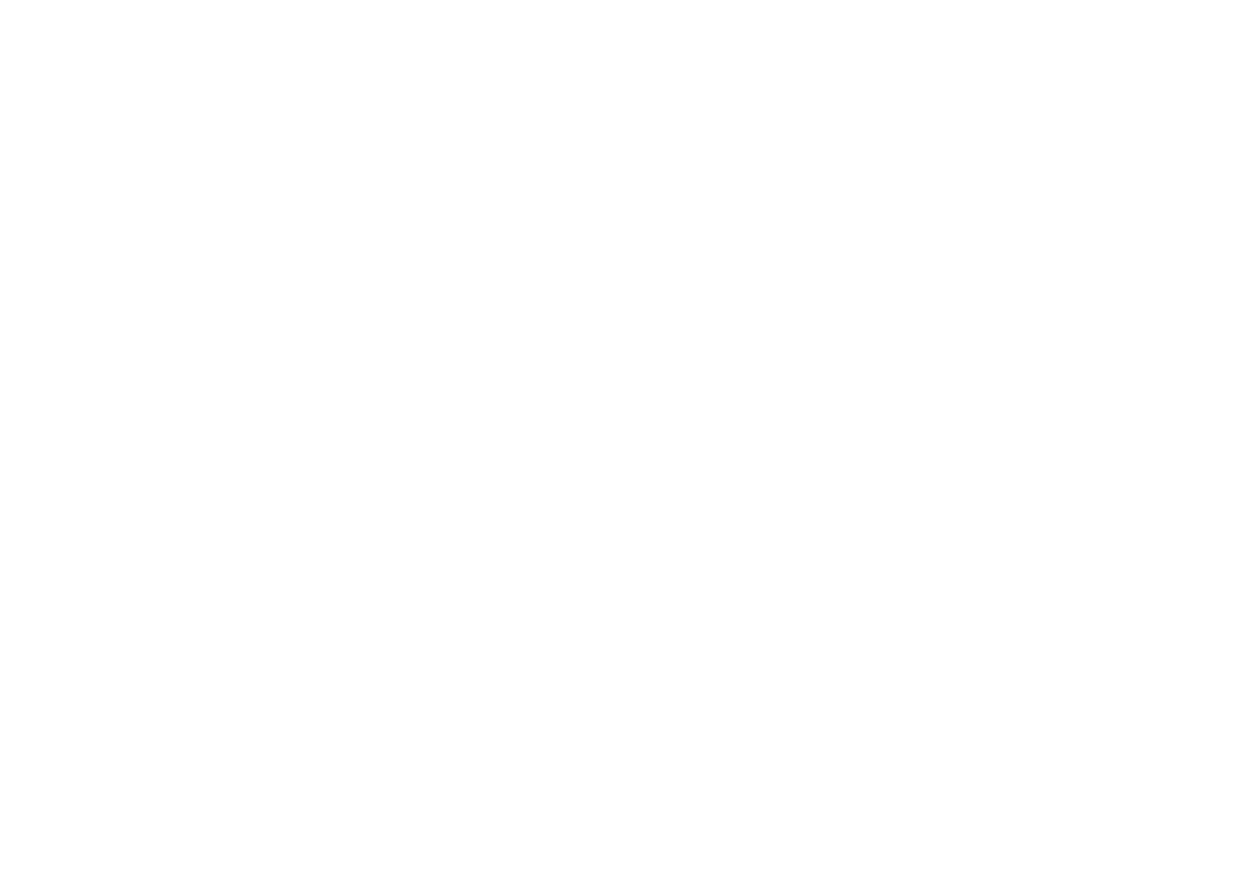 NJ Platinum Transportation white logo for luxury black car and limousine service