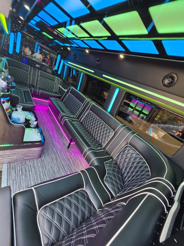 Limo Sprinter interior